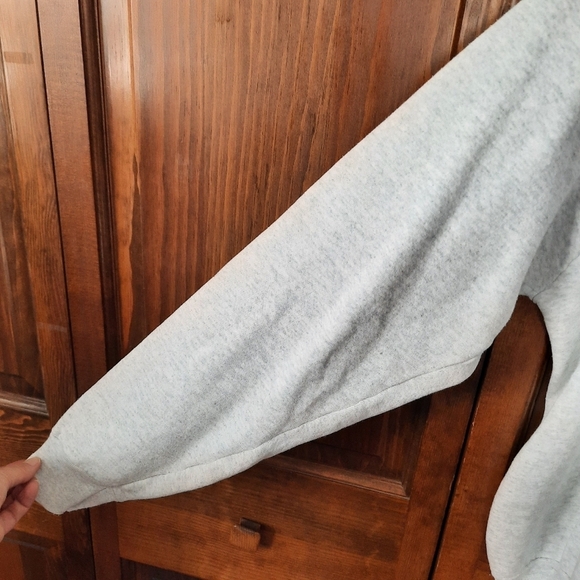 Vintage 1991 Holland Michigan tulips 3D spellout graphic gray raglan crewneck - Picture 7 of 13